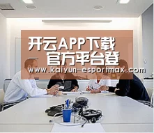 研发能力标题二
