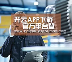 研发能力标题四