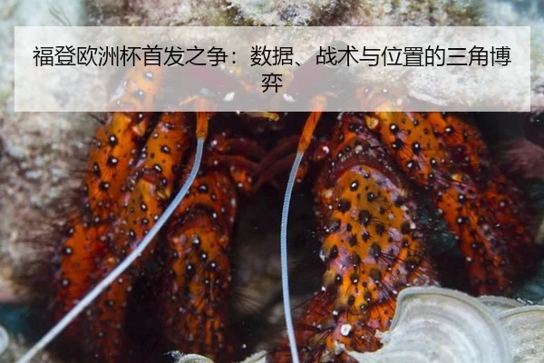 fu-deng-ou-zhou-bei-shou-fa-zhi-zheng-shu-ju-zhan-shu-yu-wei-zhi-de-san-jiao-bo-yi-3-396.jpg