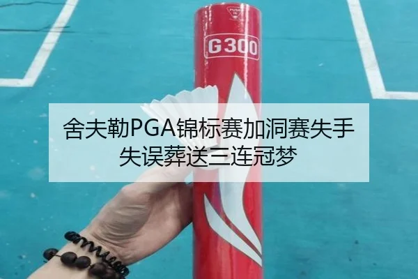 舍夫勒PGA锦标赛加洞赛失手 失误葬送三连冠梦