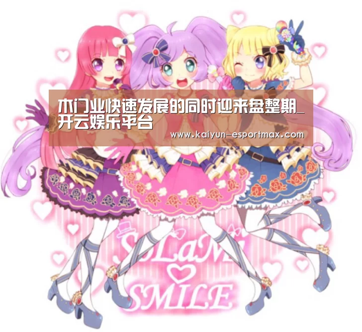 木门业快速发展的同时迎来盘整期_开云娱乐平台